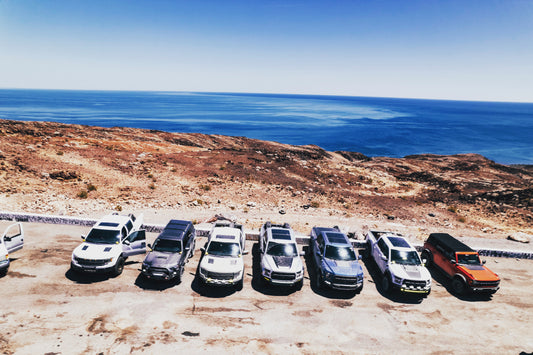 Raptor-Palooza Feb 13 - 16, 2026